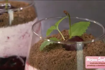Cure nam sline od novog recepta Mirjane Špoljar: predivni mousse od čokolade s višnjama
