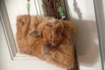 Na cesti je pronašla pregaženu mačku pa je pretvorila u žensku torbicu