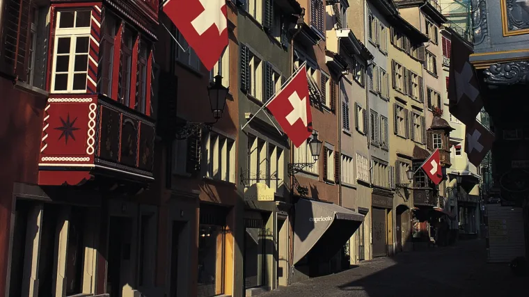 &Scaron;vicarski glasači podržali novi zakon o prislu&scaron;kivanju