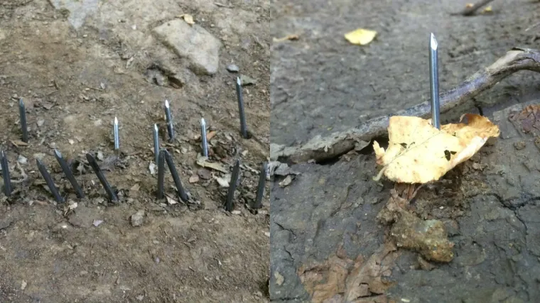 Biciklisti, pripazite! Netko je na biciklističku stazu na Medvednici postavio čavle i zakamuflirao ih li&scaron;ćem i zemljom