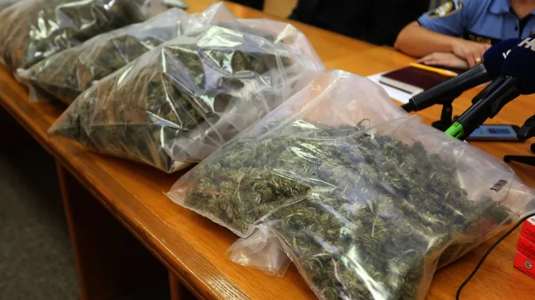 U dvije policijske intervencije u PU vukovarsko-srijemskoj zaplijenjeno 39 kilograma marihuane