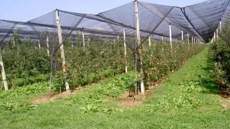 Iz IPARD-a u Međimurje isplaćeno 920 tisuća kuna