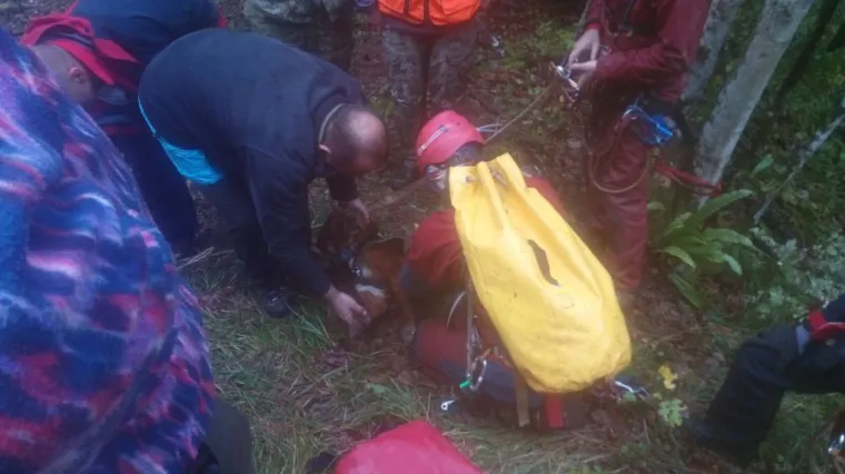 HGSS-ovci opisali kako su spasili pse koji su upali u 70 metara duboku jamu