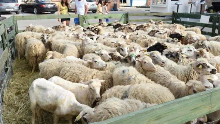 Još dva hrvatska proizvoda od danas imaju zaštićeno geografsko porijeklo