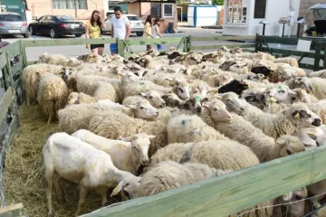 Još dva hrvatska proizvoda od danas imaju zaštićeno geografsko porijeklo