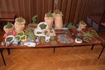 Policija razotkrila uhodani posao 12-orice uzgajivača 'trave'