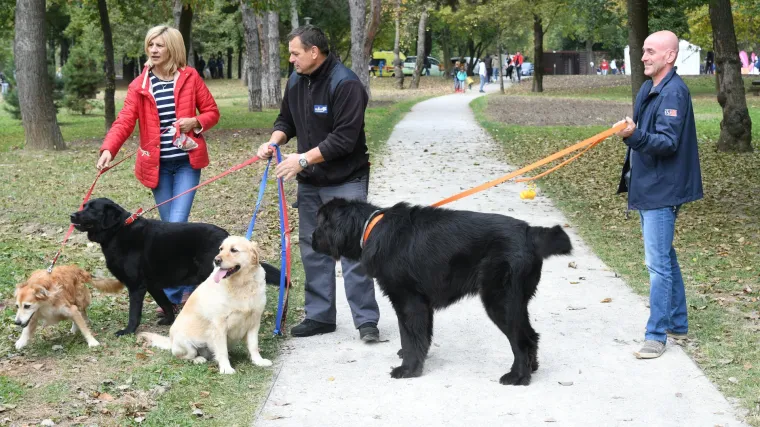 Komunalni redari brinut će čiste li vlasnici za psima, spa&scaron;avat će zalutale, ali i paziti da ne budu zanemarivani