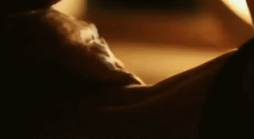 Nemojte se žuriti sa svojim Bikom, a kod Ovna pazite &scaron;to obećajete...