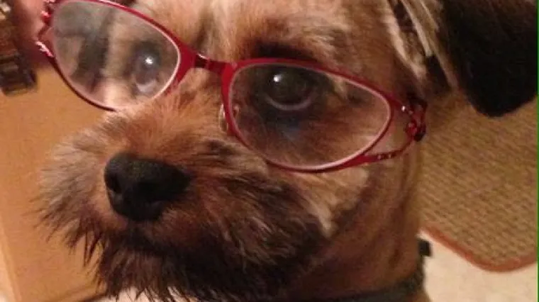 Ovom psihologu bi i&scaron;li čak i kad je sve u redu - da se malo mazimo i igramo