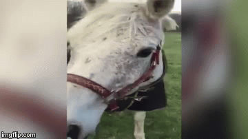 Eksperiment postao viralni hit, pogledajte za&scaron;to