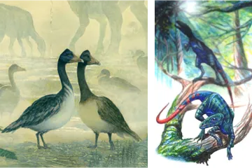 I dinosaure su budile ptice, samo nisu baš pjevale