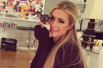 Nasljednica dala 55 tisuća kuna za novu minijaturnu čivavu