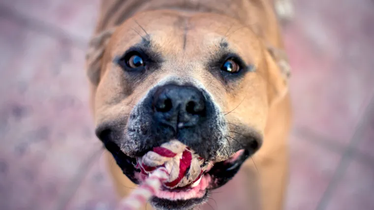'Nebo je dobilo anđela, a na&scaron; mali vojnik se i dalje bori za život'