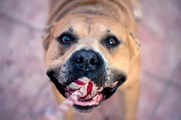 'Nebo je dobilo anđela, a na&scaron; mali vojnik se i dalje bori za život'