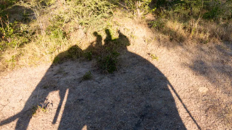 Za svaku pohvalu: prestaju prodavati karte za destinacije na kojima zlostavljaju životinje