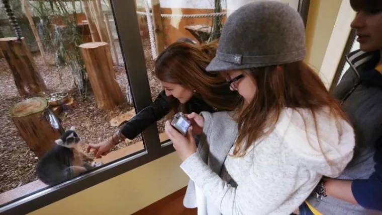 Pogledajte &scaron;to sve od danas njegovi posjetitelji mogu vidjeti