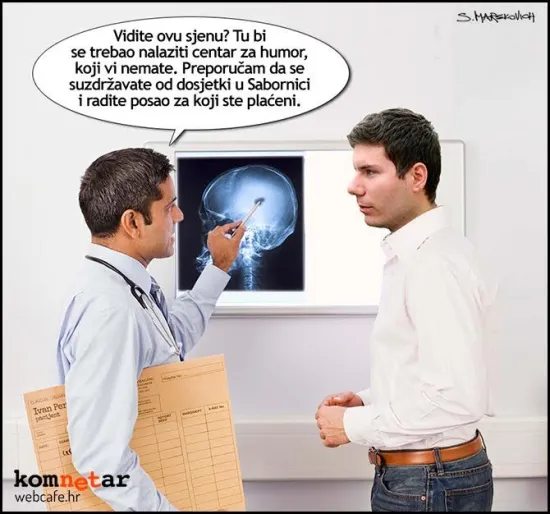 Stručno mi&scaron;ljenje