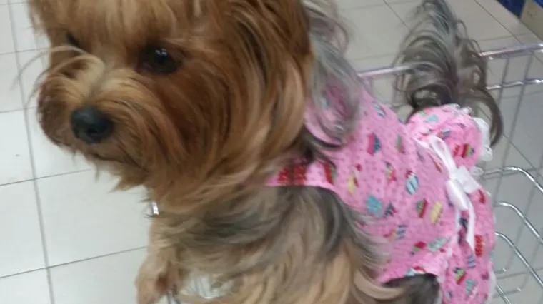 Kao svaka prava cura, pažljivo bira &scaron;to će uzeti