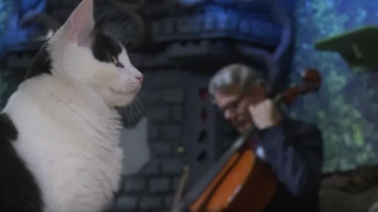 Violončelist snimio prvi album samo za mačke, ali tu ne staje! Priprema jedan za konje i pse