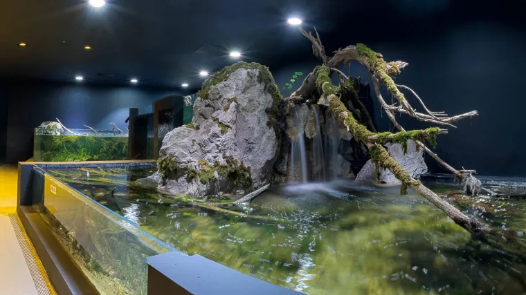 Vrijedan skoro 37 milijuna kn: slatkovodni akvarij Aquatika u Karlovcu u subotu otvara vrata!