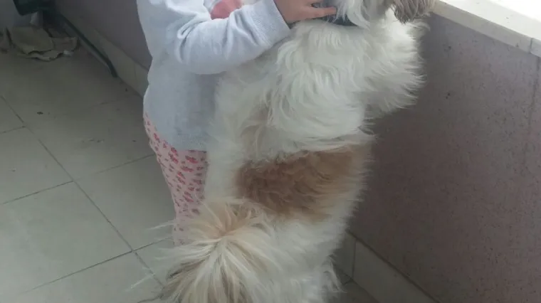 Antea i Dodo počinju zajedno istraživati svijet