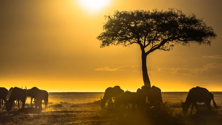 Životinjski i biljni svijet mogao bi do kraja ovog desetljeća doživjeti drastičan pad!