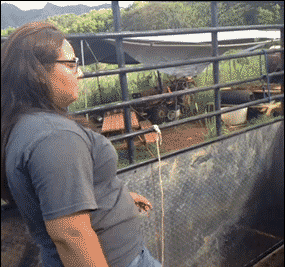 Ono kad se neka cura poku&scaron;ava nabacivati tvojem dečku