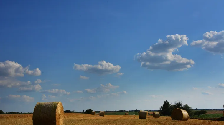 Kako izgleda život onih koji su odlučili ostati u Hrvatskoj  i poku&scaron;avaju se izboriti sa svim problemima?