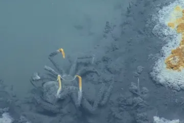Svakoga tko uđe u njega čeka strašna sudbina