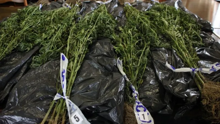 U albanskom skladi&scaron;tu sjeverno od Tirane zaplijenjeno 4,2 tona marihuane!