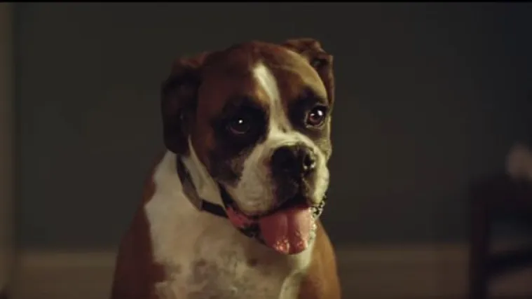 Burna 2016.: tradicionalna božićna reklama Johna Lewisa podsjetila svijet na lijepe stvari