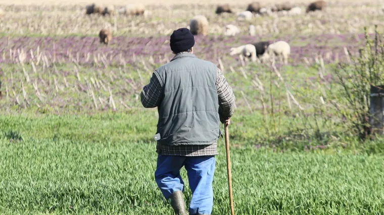 U zemlji s vi&scaron;e od 228.000 nezaposlenih ovo bi mogao biti posao iz snova: traži se pastir, plaća 5000 kn, osiguran smje&scaron;taj, hrana...