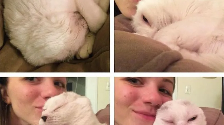 Cura koja pati od anksioznosti udomila je mačka bez u&scaron;iju i sad se jednostavno ne može odvojiti od nje