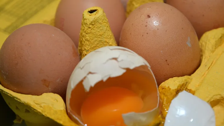 Odvjetnica obitelji zaražene salmonelom traži istinu: 'Oni već mjesec dana ne znaju za&scaron;to im je umrlo dijete'