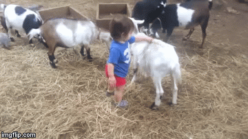 Oni su najsmje&scaron;niji primjerci svoje vrste, a nasmijat će i vas