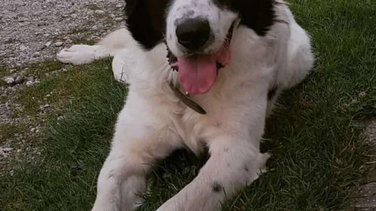 Aron zna kako treba pozirati pravi model