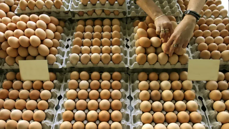 Ni nakon mjesec dana javnost ne zna je li dječak preminuo zbog salmonele: istražujemo - za&scaron;to se taji nalaz obdukcije?