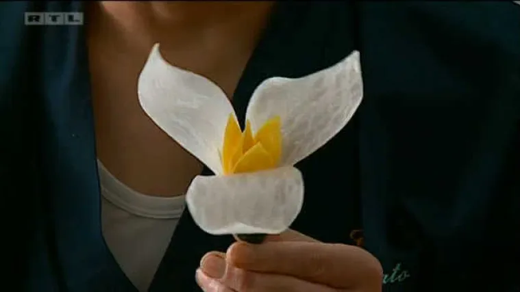 Jeste li ikad čuli za carving? Kazuhiro Sato samo za nas je od voća i povrća izradio umjetnička djela