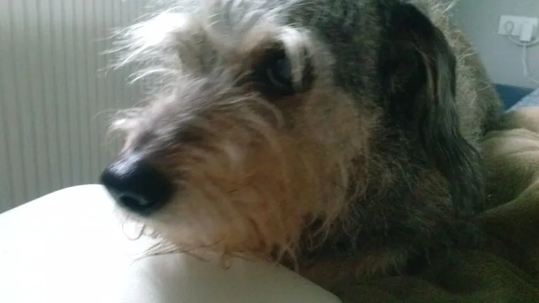 I nama je toplije čim smo vidjeli ovog