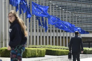 Plaćat ćemo 15.000 eura dnevno jer nismo donijeli novi zakon!