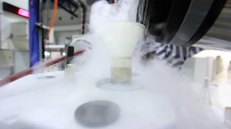 Bolesna djevojčica dobila pravo da se vrati iz mrtvih: njeno tijelo su nakon smrti zamrznuli