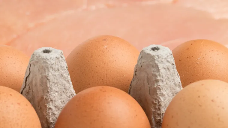 Obitelj stradalog dječaka iz Bregane: 'Jo&scaron; nismo dobili nalaz obdukcije iako smo ga zatražili 30. listopada'