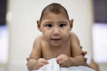 WHO: virus Zika više ne predstavlja prijetnju ljudskom zdravlju