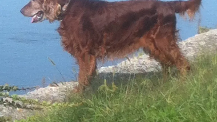 Bilo ljeto, bilo zima, Bergin uvijek osmijeh ima