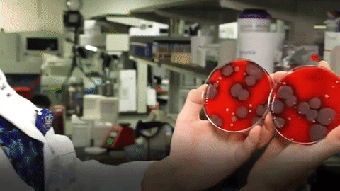 Testirali mobitele na bakterije i ono &scaron;to su na&scaron;li prilično je odvratno