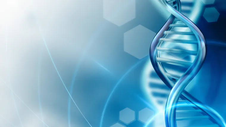 Novo otkriće moglo bi odgoditi starenje i liječiti do sad neizlječive bolesti