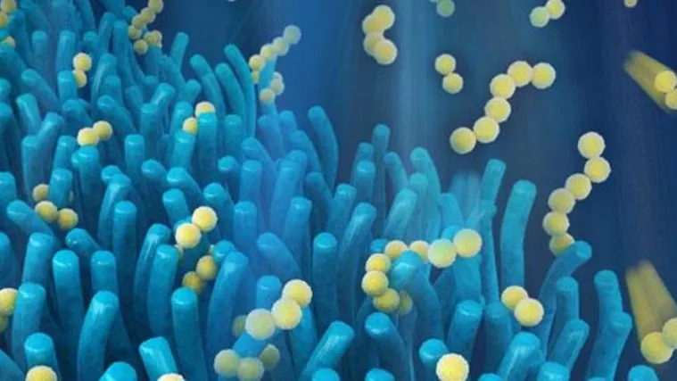 Baterije bi mogle pohranjivati pet puta više energije