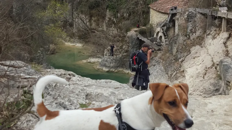 Roki neustra&scaron;ivo čuva leđa i neumorno istražuje hrvatske ljepote