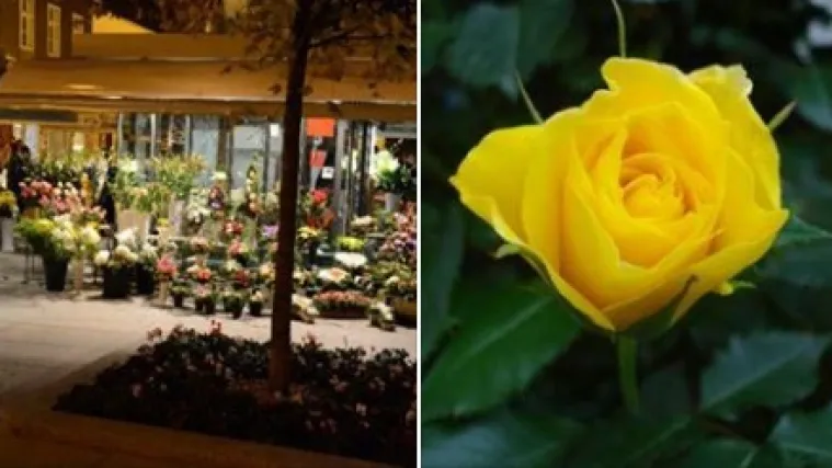 'Cvijet za Cvjetni': Zagrepčani žele obraniti omiljeni trg od 'gradonačelnika koji mu je odlučio ukinuti du&scaron;u'