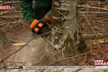 Drskost ili kriza? Hrvatske šume poručuju - sve je više krađa drva za ogrijev